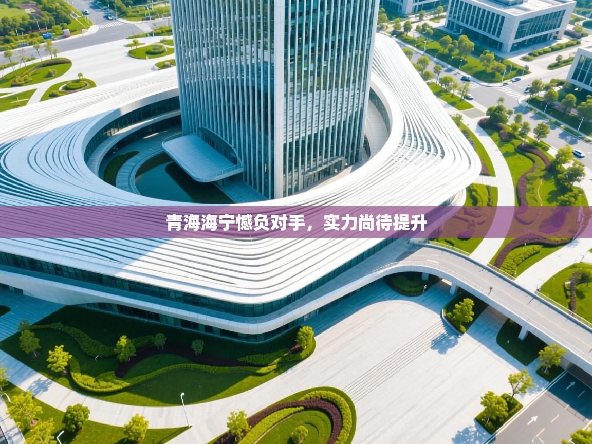 青海海宁憾负对手，实力尚待提升  第1张