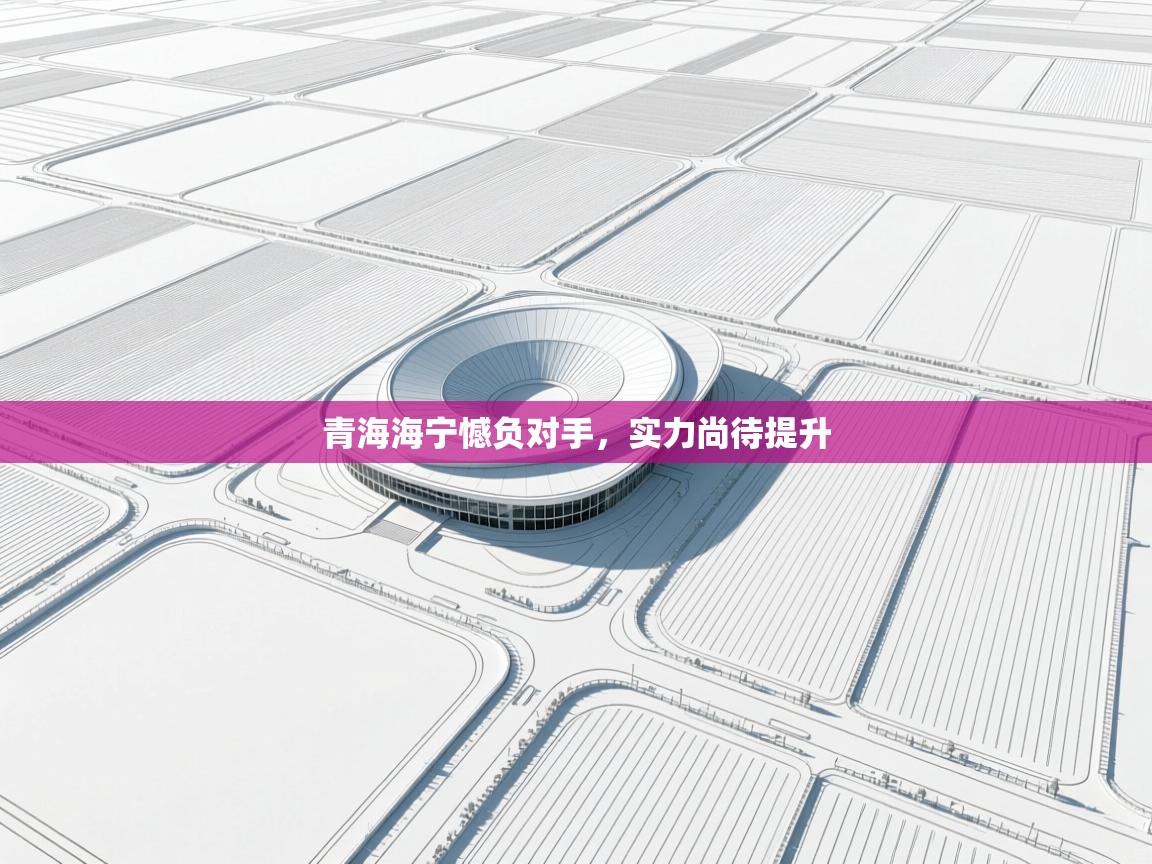 青海海宁憾负对手，实力尚待提升  第2张