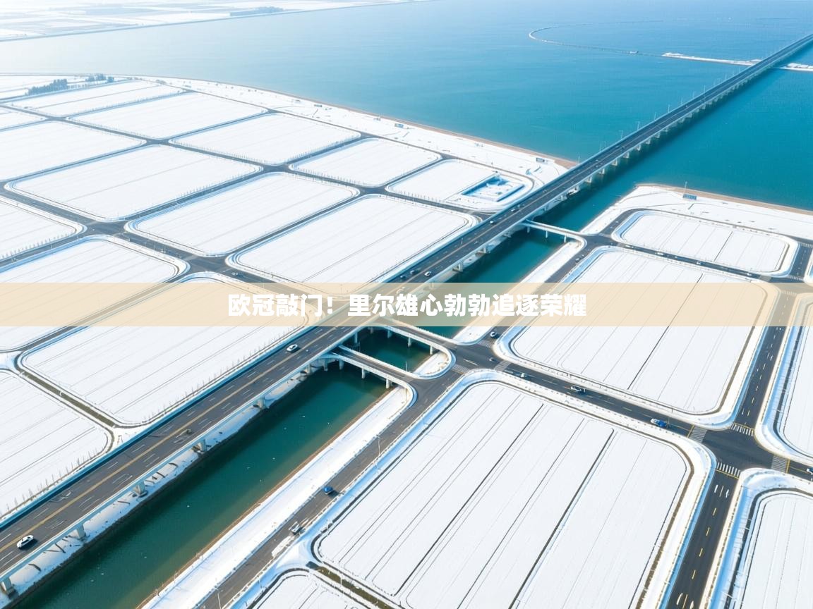 欧冠敲门!里尔雄心勃勃追逐荣耀 第1张