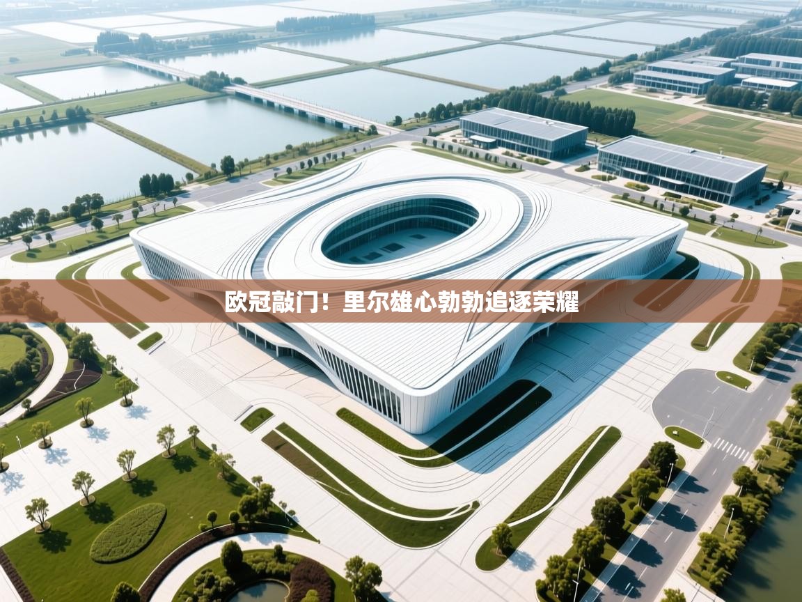 欧冠敲门!里尔雄心勃勃追逐荣耀 第2张
