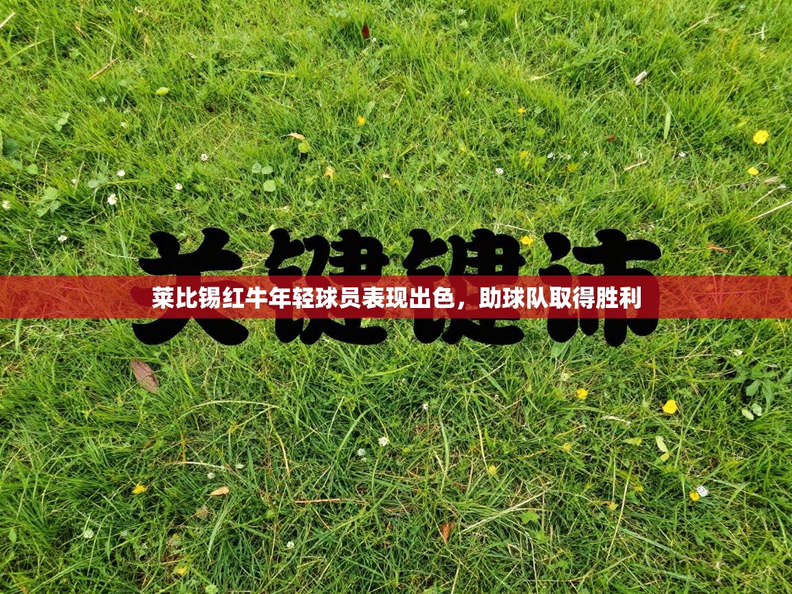 莱比锡红牛年轻球员表现出色，助球队取得胜利  第2张