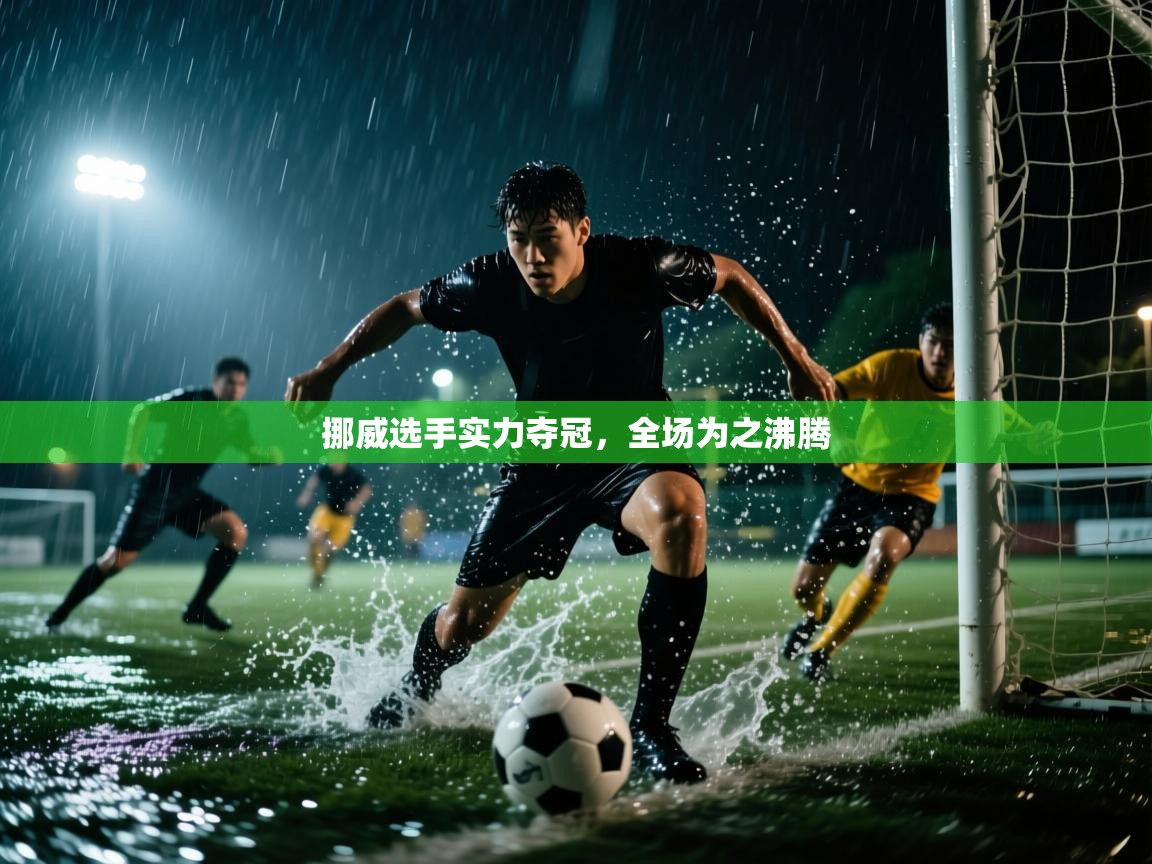 挪威选手实力夺冠，全场为之沸腾  第1张