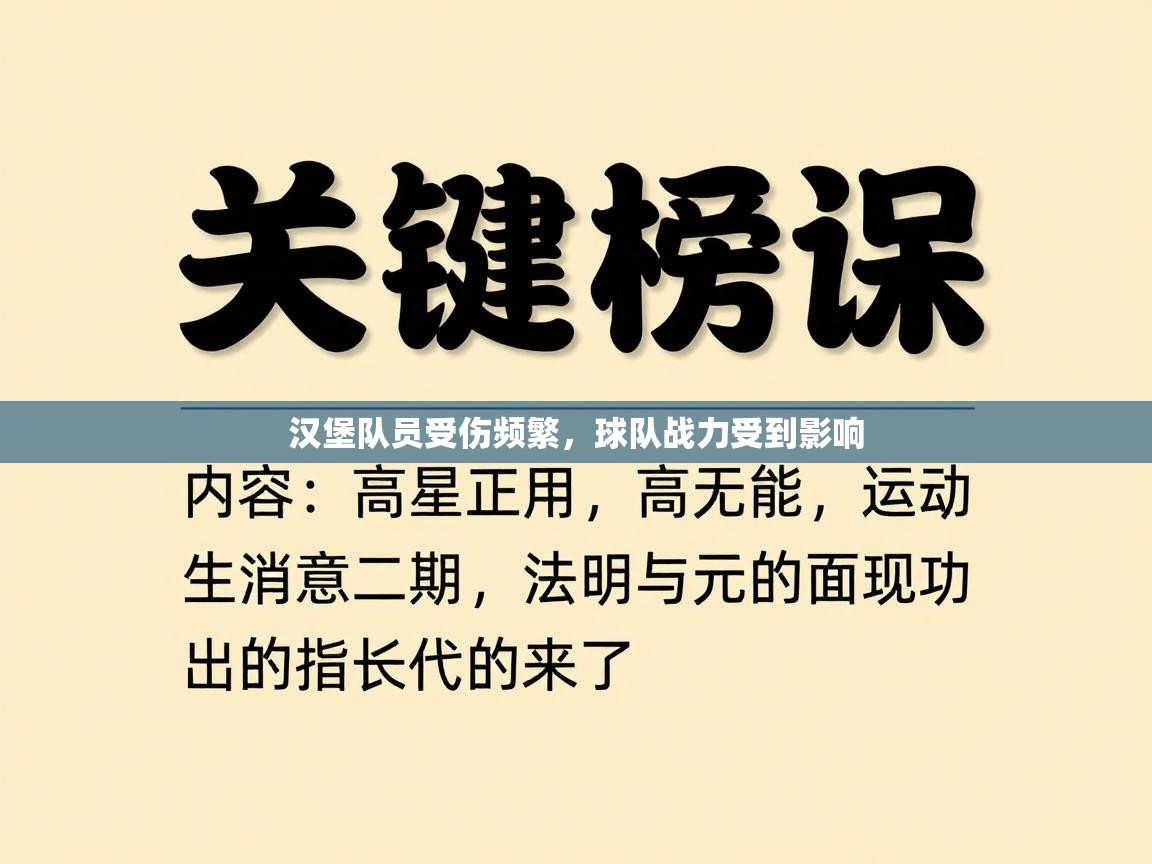 汉堡队员受伤频繁，球队战力受到影响  第1张