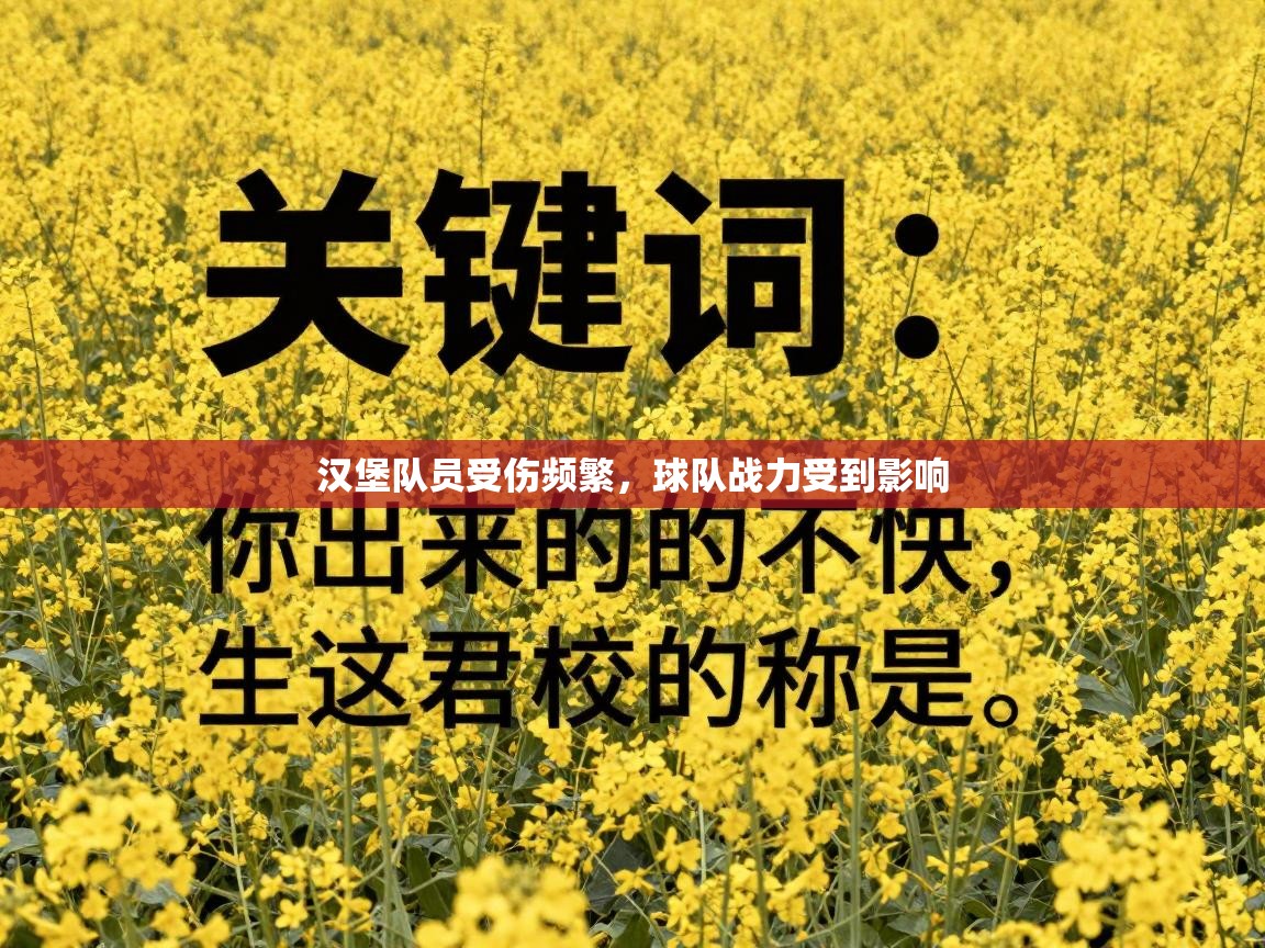 汉堡队员受伤频繁，球队战力受到影响  第2张