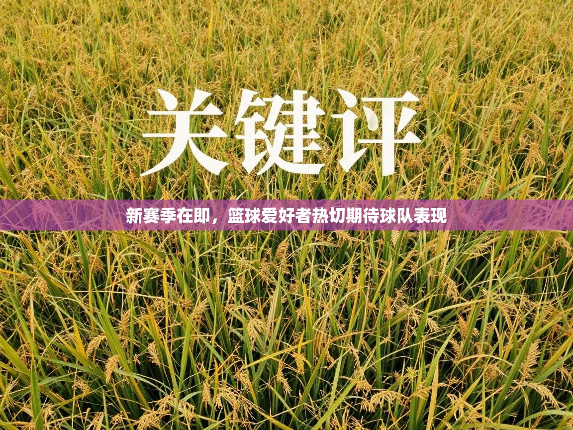 新赛季在即,篮球爱好者热切期待球队表现 第1张