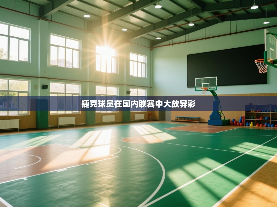 捷克球员在国内联赛中大放异彩  第2张