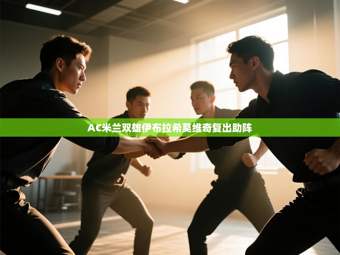 AC米兰双雄伊布拉希莫维奇复出助阵  第2张